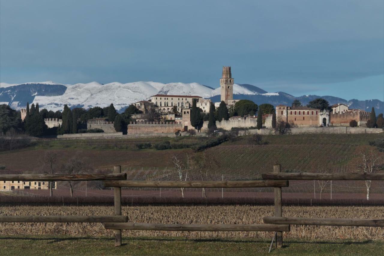 Casa Nonna Teresa Villa Tovena Bagian luar foto